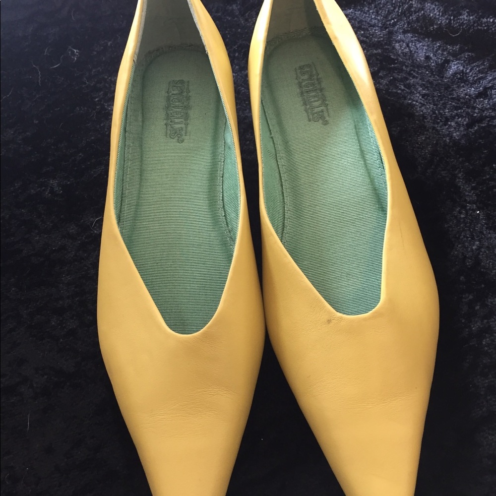 Seychelles flats